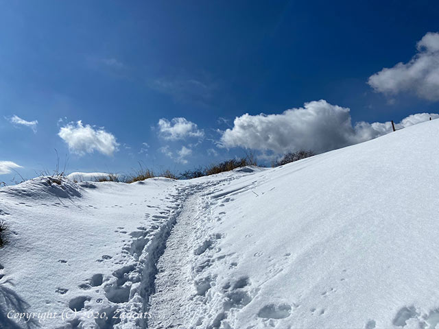 mitsutouge11.jpg