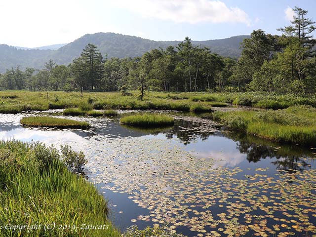 hiuchigatake11.jpg