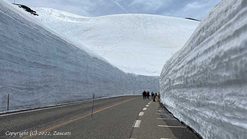 tateyama231.jpg