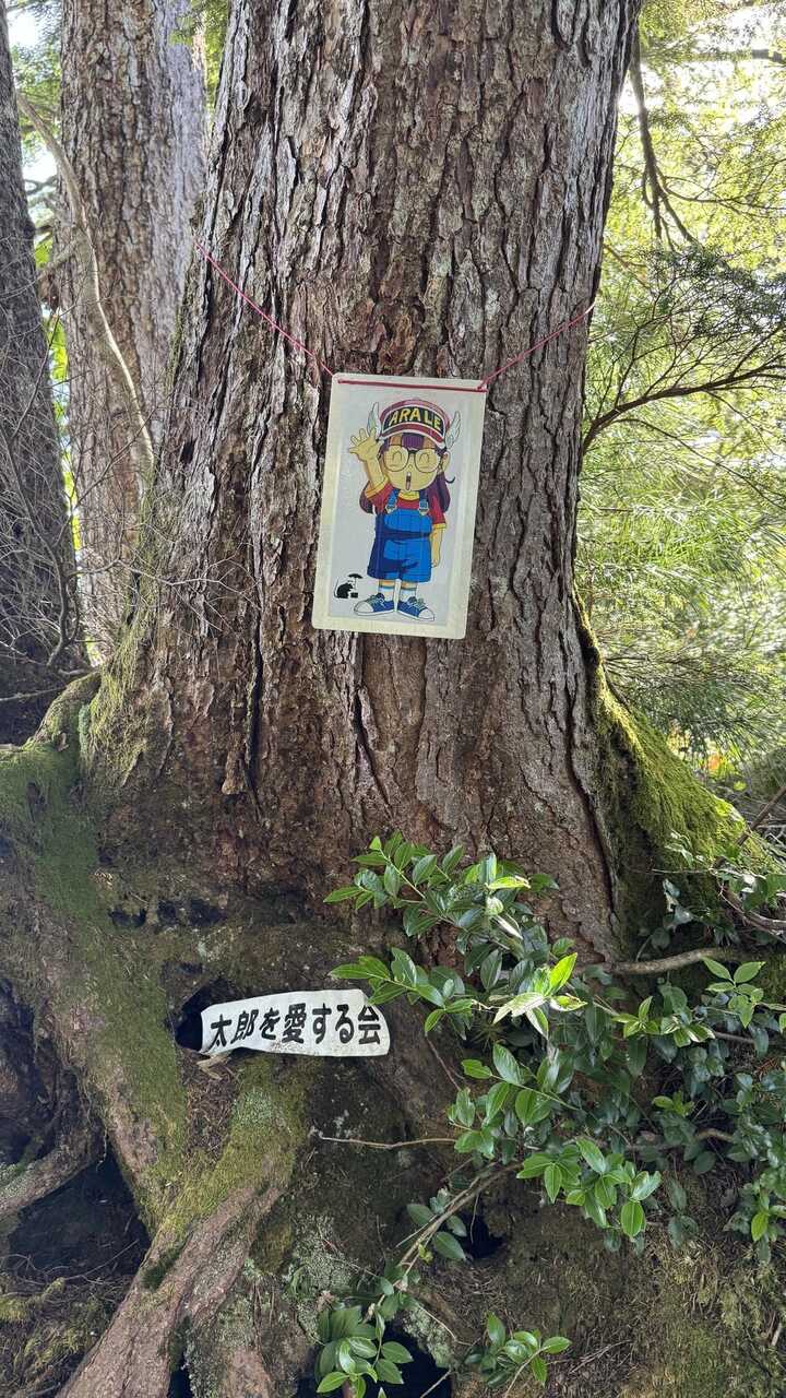 yakushi01.jpg