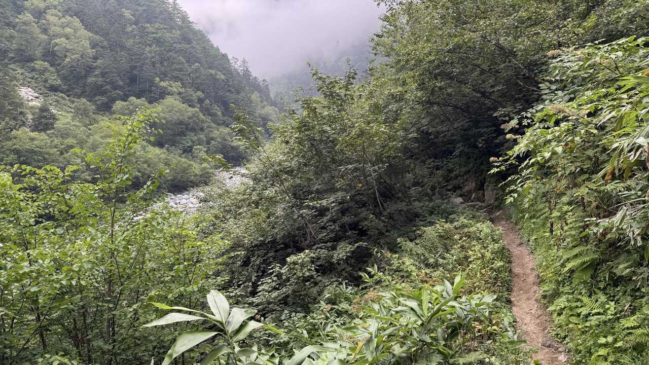 yarihodaka001.jpg