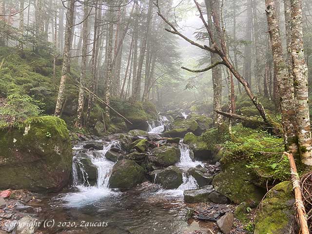 yatsugatake311.jpg