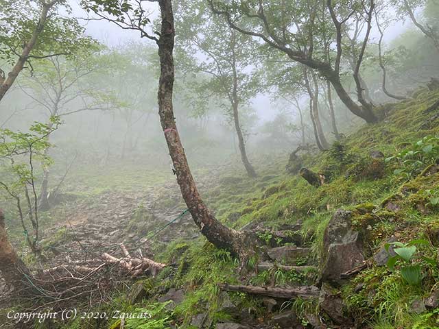 yatsugatake311.jpg