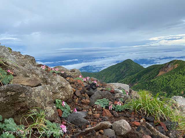 yatsugatake321.jpg