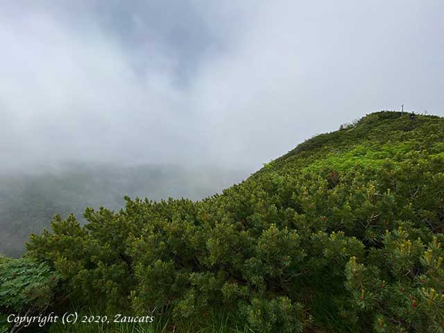 yatsugatake331.jpg