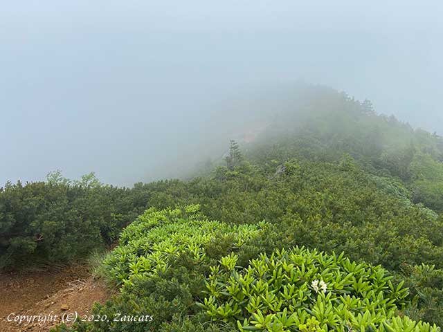 yatsugatake331.jpg