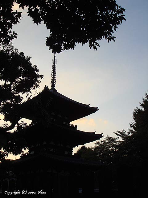 kofukuji11.jpg