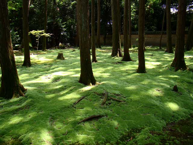 toshodaiji1.jpg