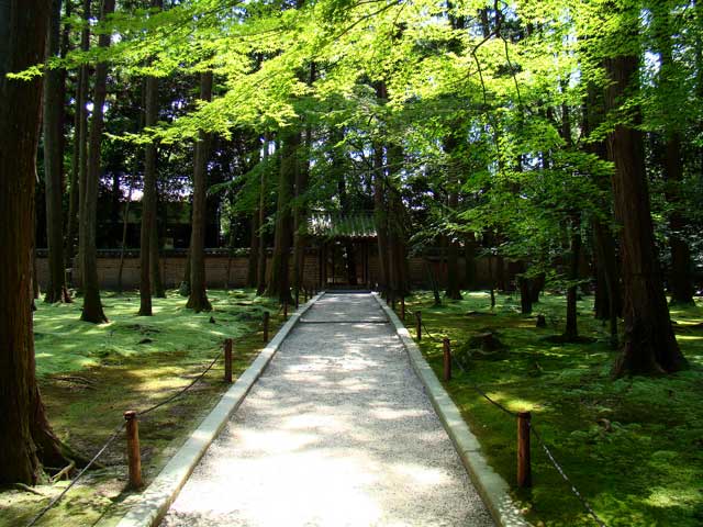 toshodaiji1.jpg