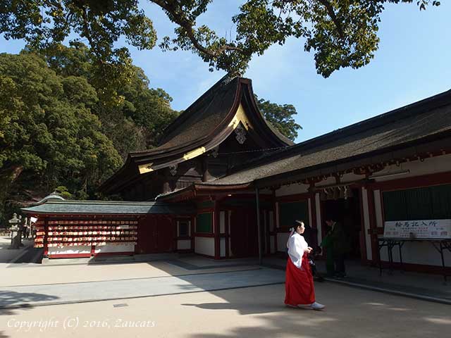 dazaifu11.jpg