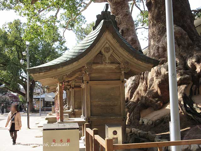 dazaifu11.jpg