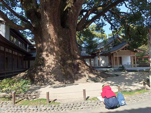 dazaifu11.jpg