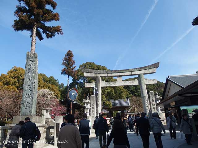 dazaifu_ume11.jpg