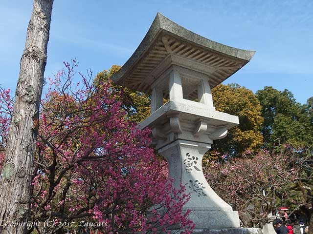 dazaifu_ume11.jpg