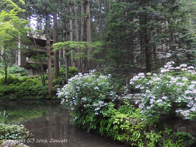 kozenji11.jpg