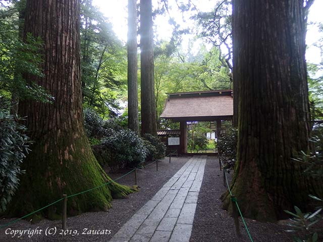 kozenji11.jpg