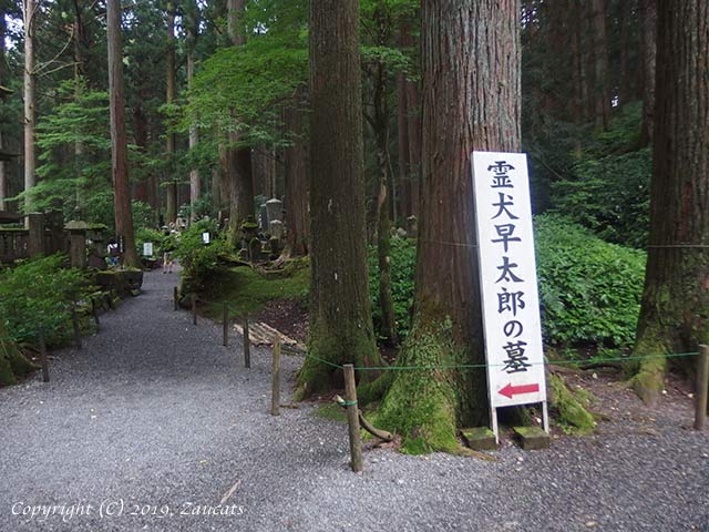 kozenji11.jpg