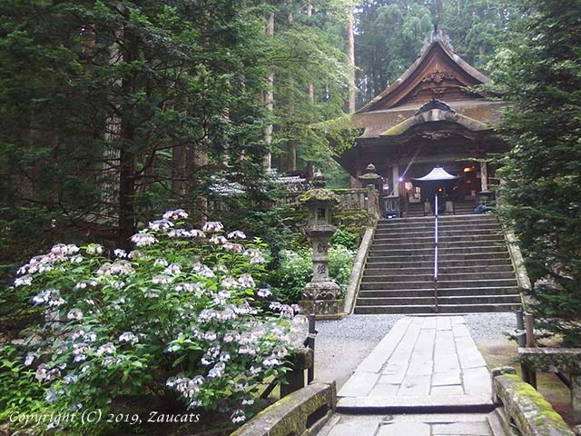 kozenji11.jpg