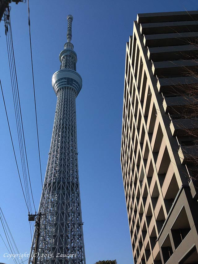 skytree11.jpg