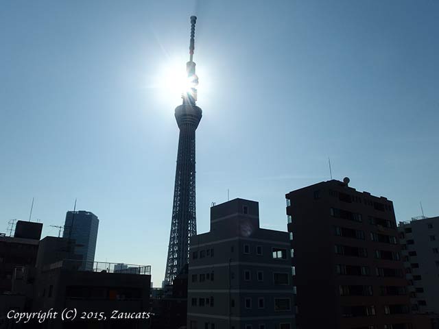 skytree11.jpg