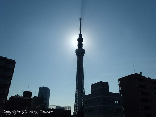 skytree11.jpg