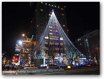 photo.jpg