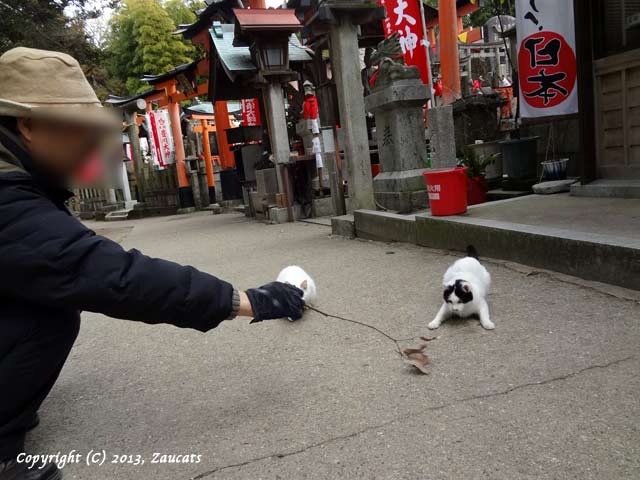 fushimiinari11.jpg