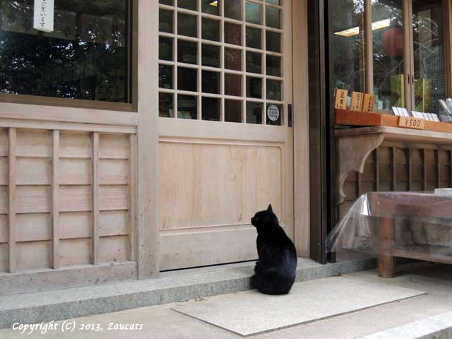 fushimiinari11.jpg