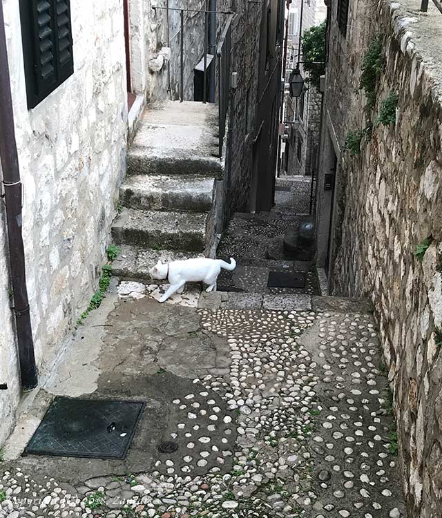 dubrovnik11.jpg